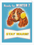 Ready for Winter? Stay Warm Dog with Earmuffs by Anonymous