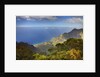 Canyon in Hawaii by Anonymous