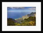 Canyon in Hawaii by Anonymous