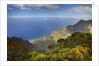 Canyon in Hawaii by Anonymous