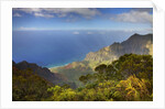 Canyon in Hawaii by Anonymous