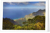 Canyon in Hawaii by Anonymous