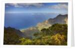 Canyon in Hawaii by Anonymous