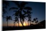 Sunset on the Westside of Kauai by Anonymous