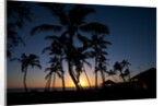 Sunset on the Westside of Kauai by Anonymous