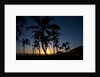 Sunset on the Westside of Kauai by Anonymous