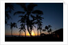Sunset on the Westside of Kauai by Anonymous