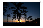 Sunset on the Westside of Kauai by Anonymous