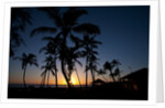 Sunset on the Westside of Kauai by Anonymous