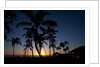 Sunset on the Westside of Kauai by Anonymous