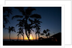 Sunset on the Westside of Kauai by Anonymous
