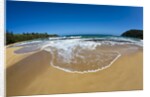 Pristine sand Beaches of Kauai Hawaii by Anonymous