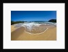 Pristine sand Beaches of Kauai Hawaii by Anonymous