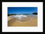 Pristine sand Beaches of Kauai Hawaii by Anonymous