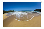 Pristine sand Beaches of Kauai Hawaii by Anonymous