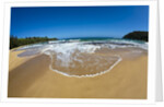 Pristine sand Beaches of Kauai Hawaii by Anonymous