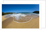 Pristine sand Beaches of Kauai Hawaii by Anonymous