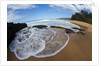 Pristine sand beaches of Kauai, Hawaii by Anonymous