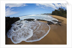 Pristine sand beaches of Kauai, Hawaii by Anonymous