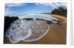 Pristine sand beaches of Kauai, Hawaii by Anonymous