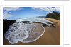 Pristine sand beaches of Kauai, Hawaii by Anonymous