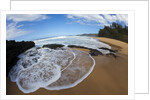 Pristine sand beaches of Kauai, Hawaii by Anonymous