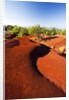Red earth area of the Waimea Canyon by Anonymous
