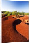 Red earth area of the Waimea Canyon by Anonymous