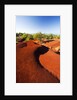 Red earth area of the Waimea Canyon by Anonymous
