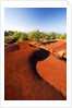 Red earth area of the Waimea Canyon by Anonymous