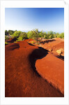 Red earth area of the Waimea Canyon by Anonymous