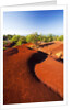Red earth area of the Waimea Canyon by Anonymous
