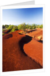 Red earth area of the Waimea Canyon by Anonymous