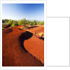 Red earth area of the Waimea Canyon by Anonymous