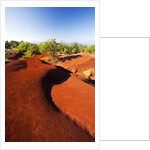 Red earth area of the Waimea Canyon by Anonymous