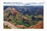 Waimea Canyon by Anonymous