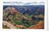 Waimea Canyon by Anonymous