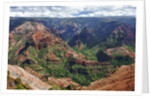 Waimea Canyon by Anonymous