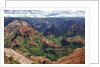 Waimea Canyon by Anonymous