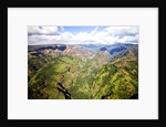 Waimea Canyon by Anonymous