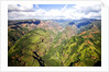 Waimea Canyon by Anonymous