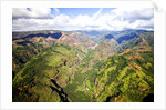 Waimea Canyon by Anonymous