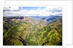 Waimea Canyon by Anonymous