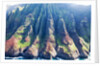 Napali coastline by Anonymous