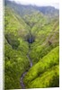 Waterfalls of Kauai by Anonymous