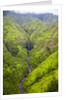 Waterfalls of Kauai by Anonymous