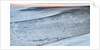 Patterns in snow covered wheat fields by Anonymous