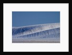 Patterns in snow covered wheat fields by Anonymous