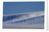 Patterns in snow covered wheat fields by Anonymous