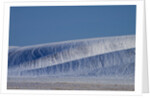 Patterns in snow covered wheat fields by Anonymous